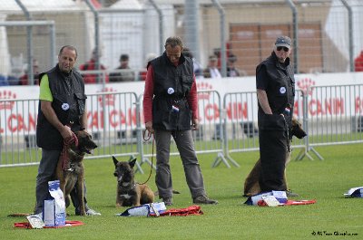 Remise des Prix 055.JPG - CHIENPLUS.COM